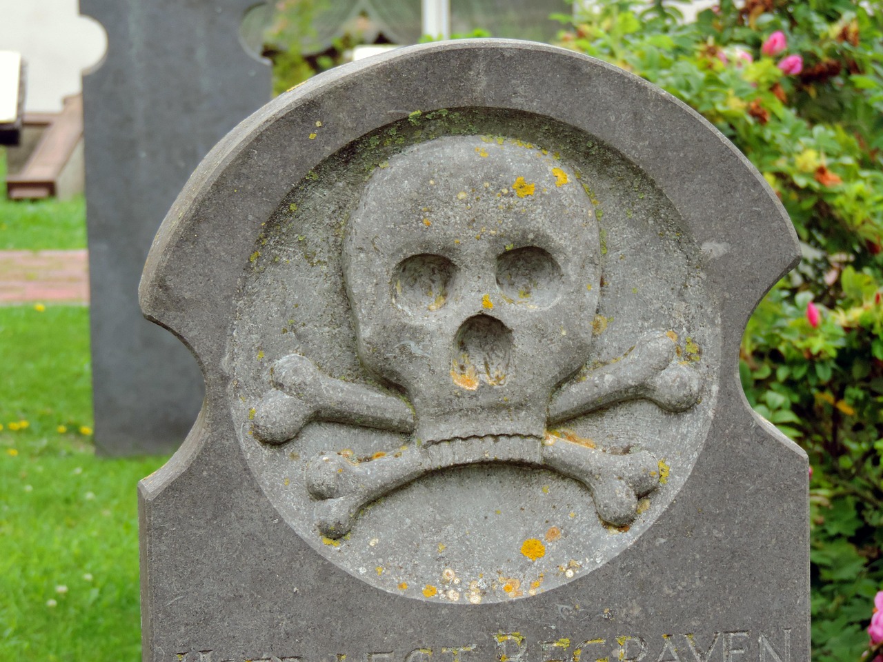 Graven Walvisvaarders Gratis foto op Pixabay Pixabay