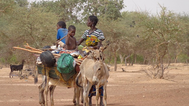 Free Transportation Exodus photo and picture
