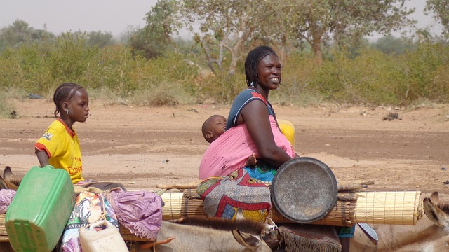 Free Women Transport photo and picture