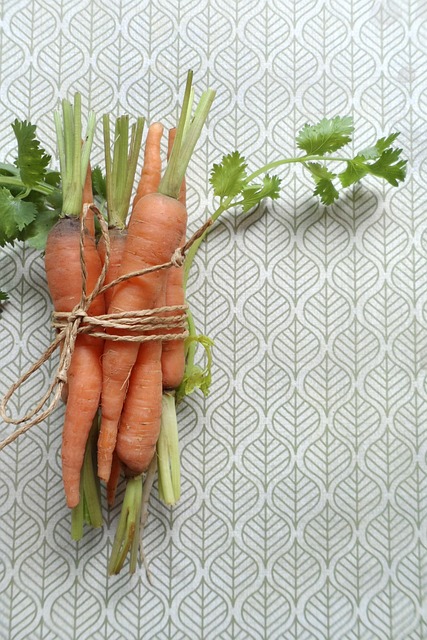 Karotte, Organisch, Orange, Gartenarbeit