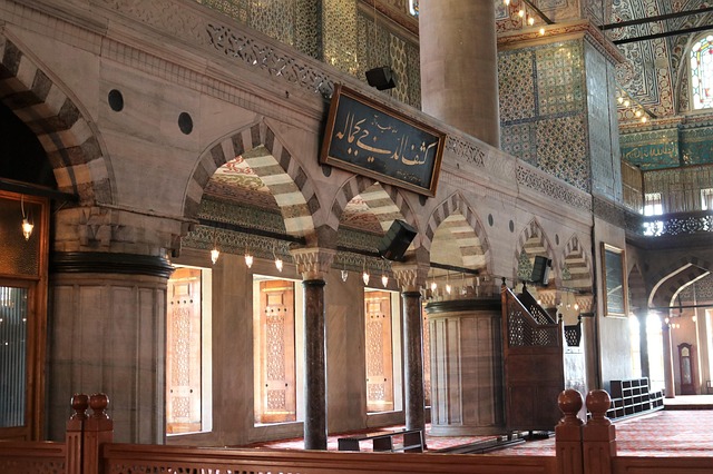 Free Cami Peace photo and picture