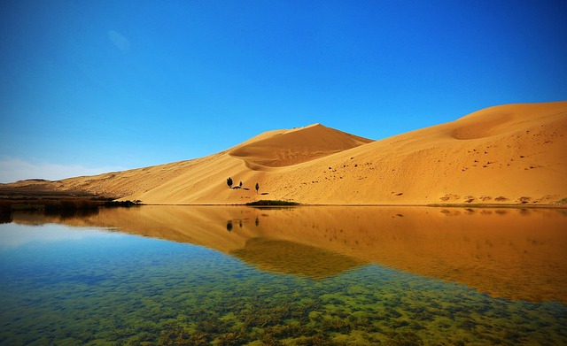 Free Desert Nature photo and picture
