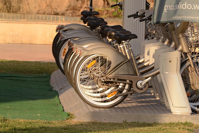 Free Cycle Bicycle photo and picture
