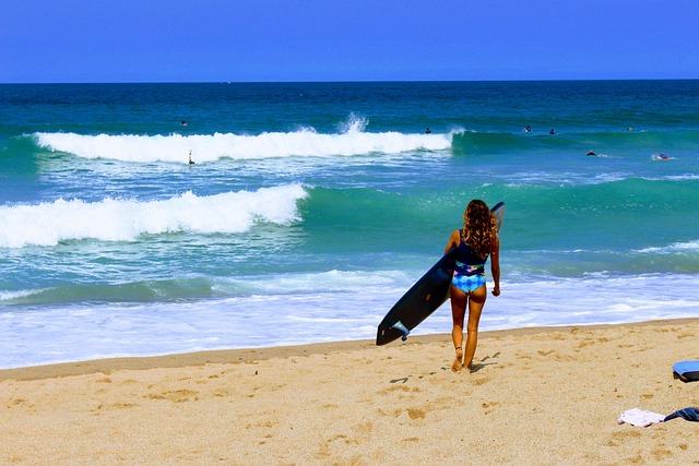 Free Pays Basque Bidart Centre photo and picture