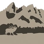 grand tetons, elk, national