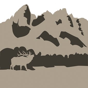 Grand Tetons, Alce, Nacional, Parque