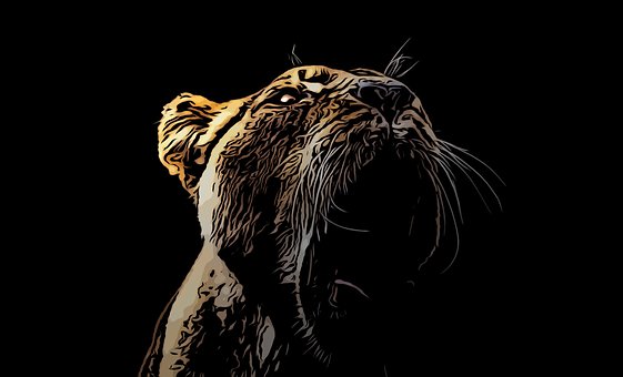 Free Comic Animal illustration and picture