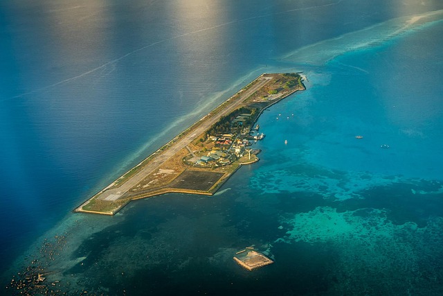 Free Island Resort photo and picture