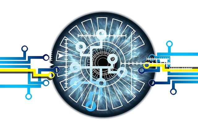 Free eye iris biometrics illustration