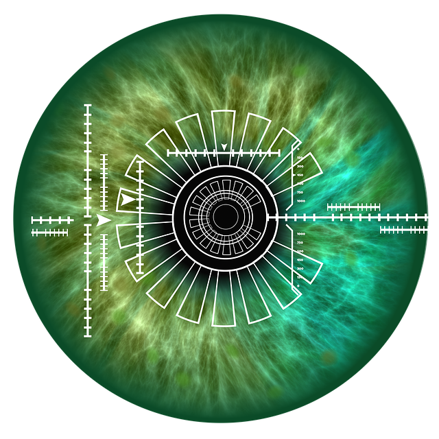 Free eye iris biometrics illustration