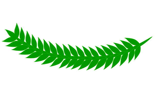 Blad, Græs, Grøn, Natur, Plante
