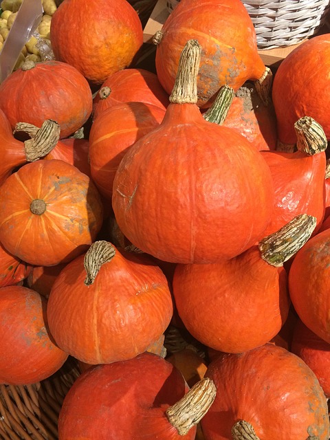 Free Pumpkin Orange photo and picture