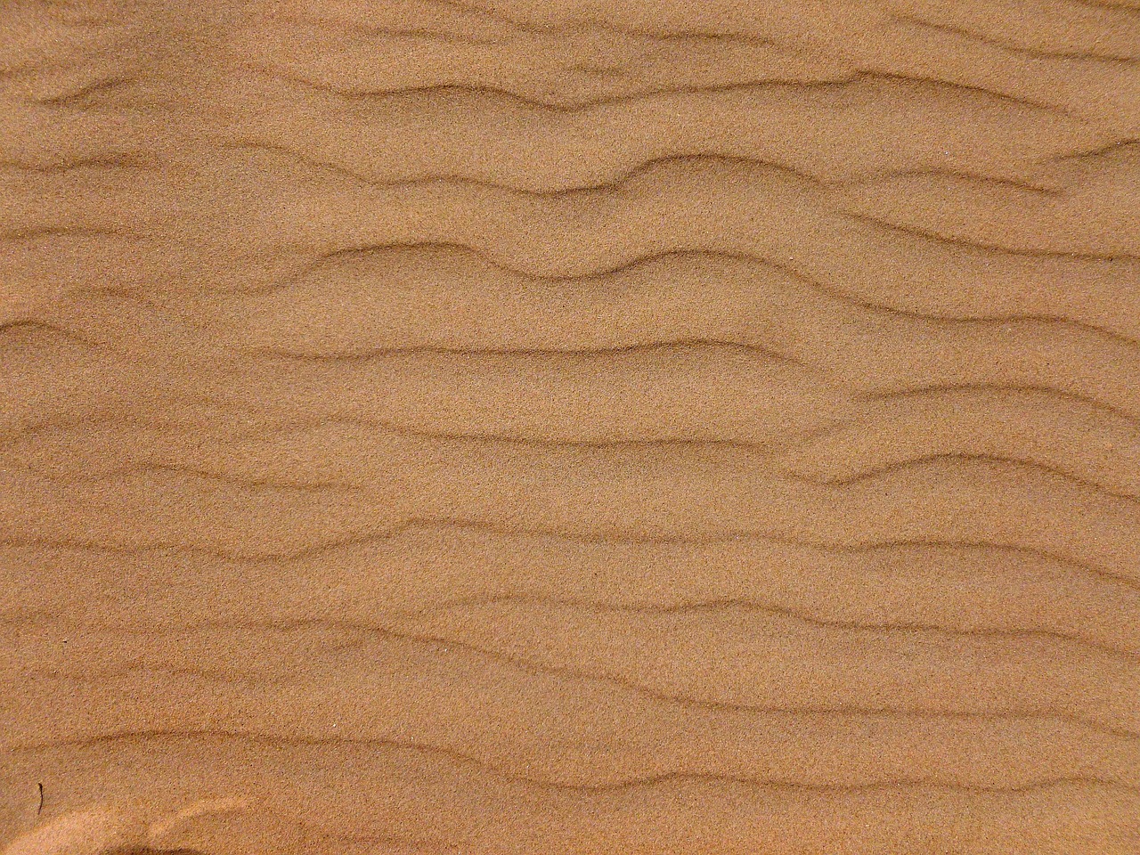 Sand Vågor Textur Sandig - Gratis foto på Pixabay - Pixabay