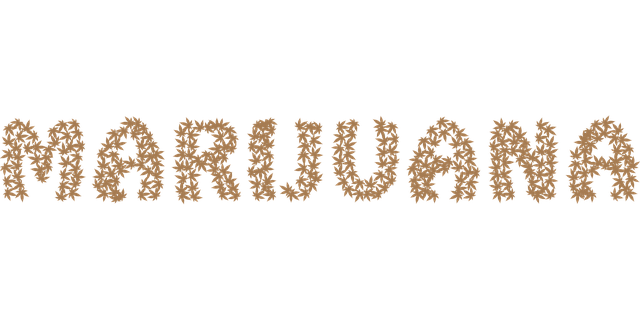 Explore 246+ Free Marijuana Illustrations: Download Now - Pixabay