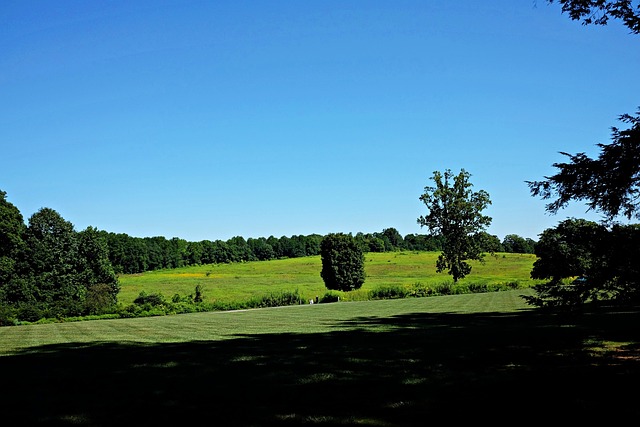 Longwood Gardens, Natur, Grün, Bäume