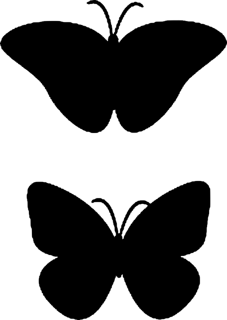 Mariposa, Insectos, Silueta, Mariposa