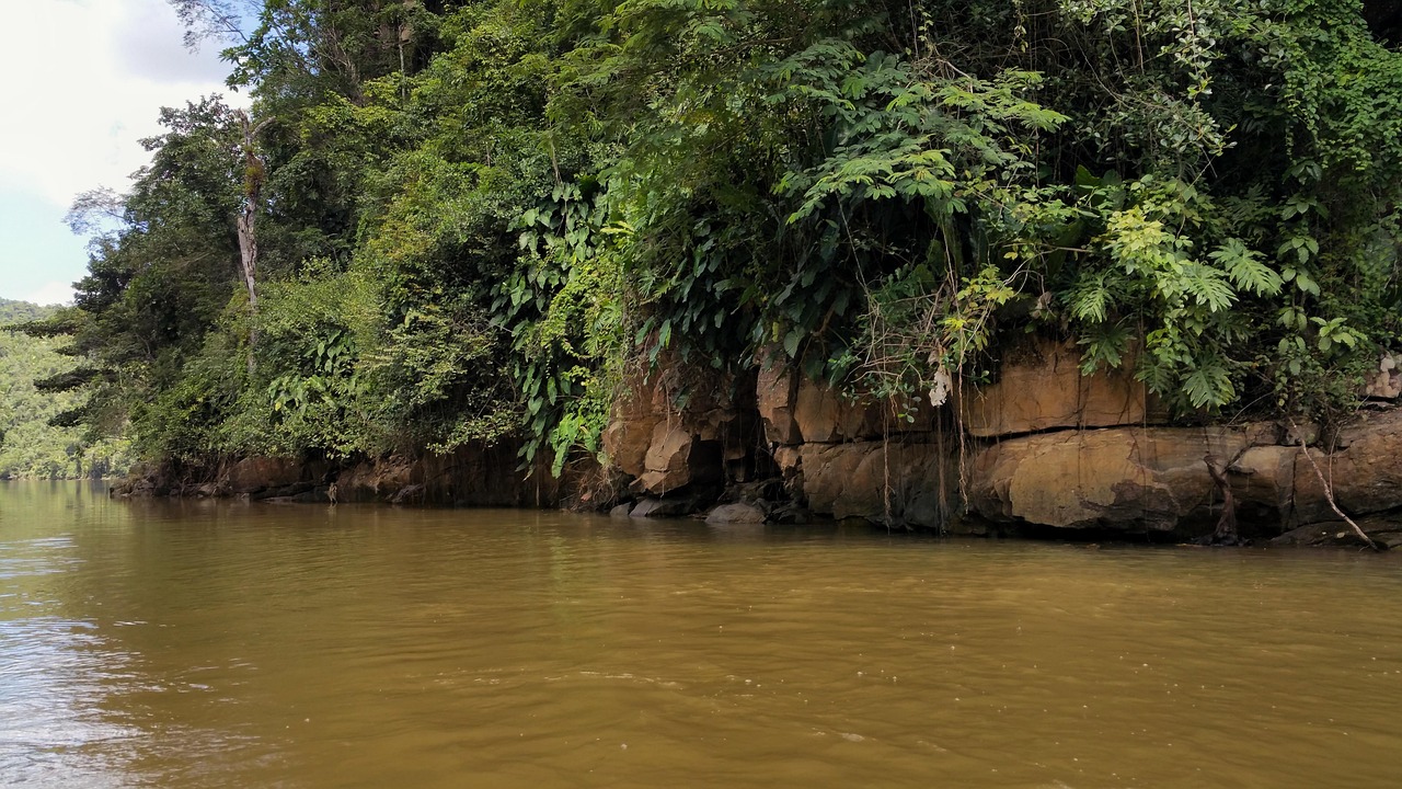 Rio Banco Pedras Agua - Foto gratuita no Pixabay - Pixabay