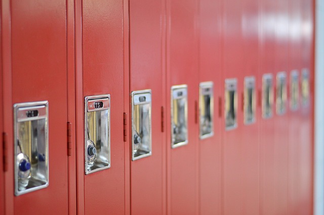 Free Lockers School photo and picture
