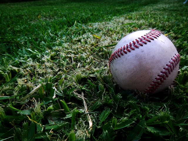 Free Ball Sport photo and picture