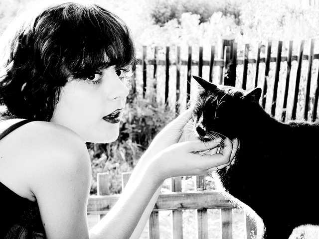 Free Woman Catandwoman photo and picture