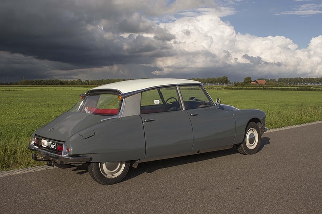 Citroen Id, Oldtimer, Gris Ciel Lourd
