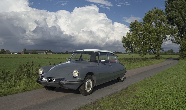Citroen Id, Oldtimer, Gris Ciel Lourd