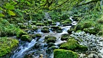 river, torrent, water