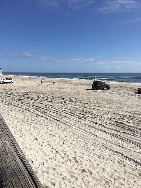 Free Beach St Augustine photo and picture