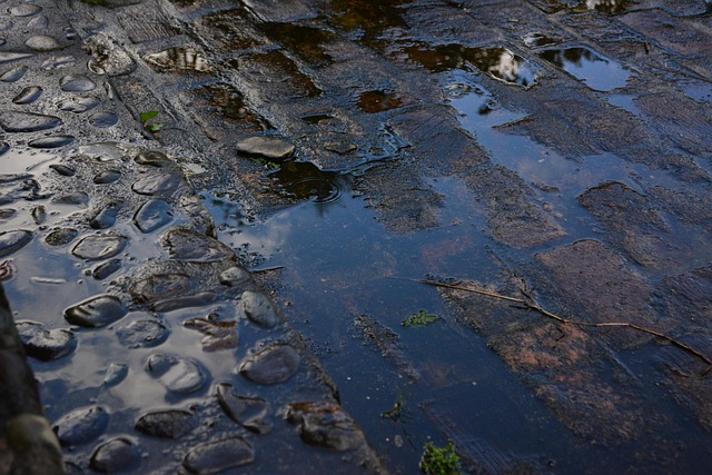 Regen, Hintergrundbild 4K