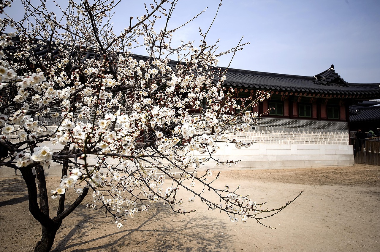 40 + 무료 한국 전통 문 & 한옥 이미지 - Pixabay