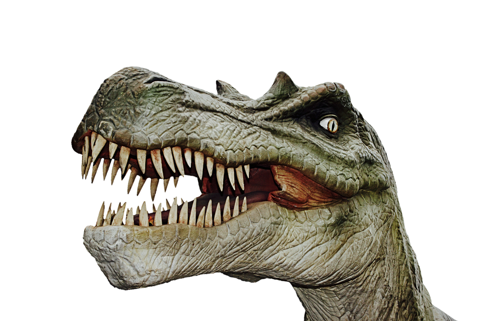 Dinosaurier dinosaurie dino giant · free photo on pixabay