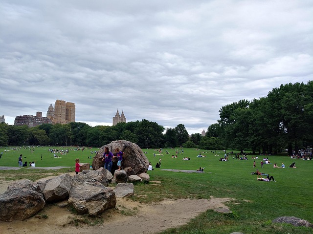 Free Usa New York photo and picture