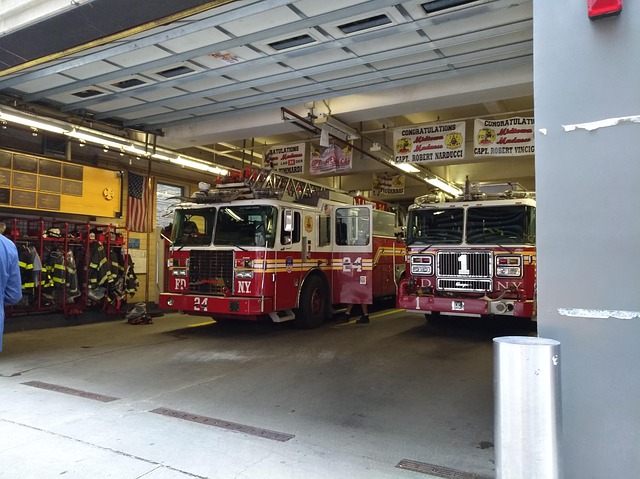 Free Usa New York photo and picture