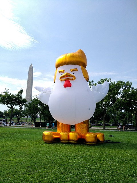 Free Usa Washington photo and picture