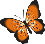 butterfly, orange, clip art