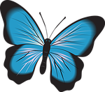 butterfly, blue, clip art