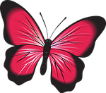 butterfly, pink, clip art