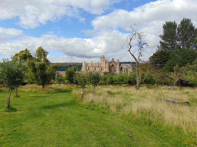 Free Melrose Abbey Scotland photo and picture