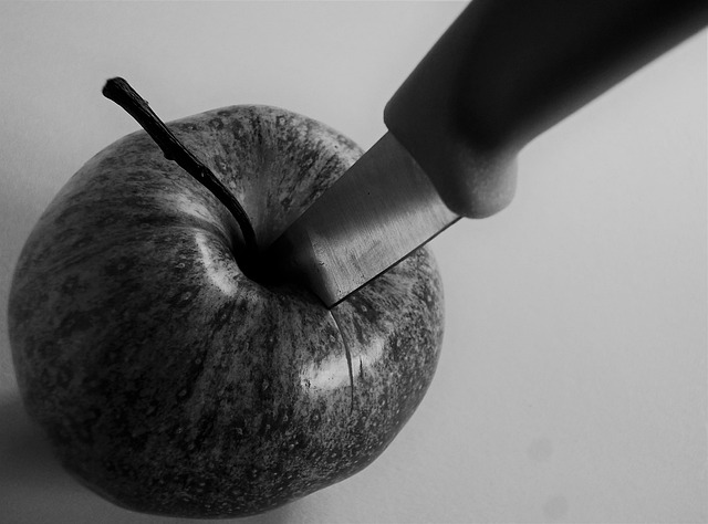 Free Apple Fruit photo and picture