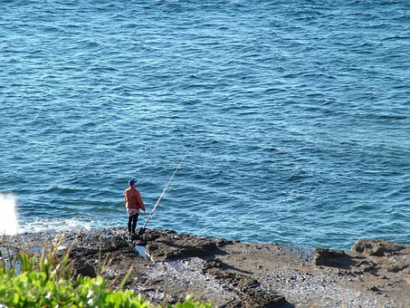 Free Fishing Sea Blue photo and picture