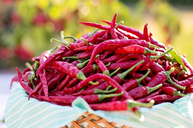 Cayenne Paprika, Rote Paprika