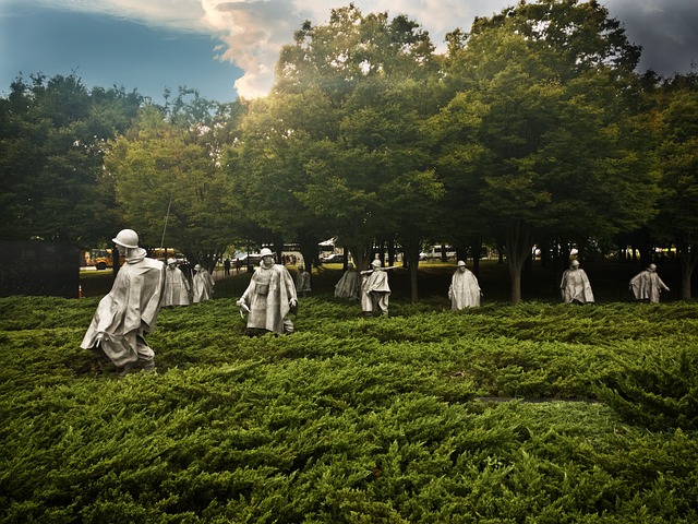Free Washington Dc Soldiers photo and picture