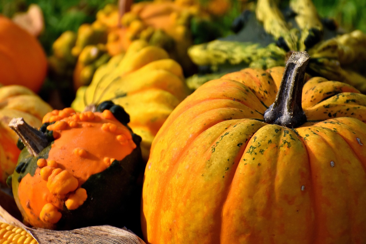Pumpkins - free online jigsaw puzzle photo