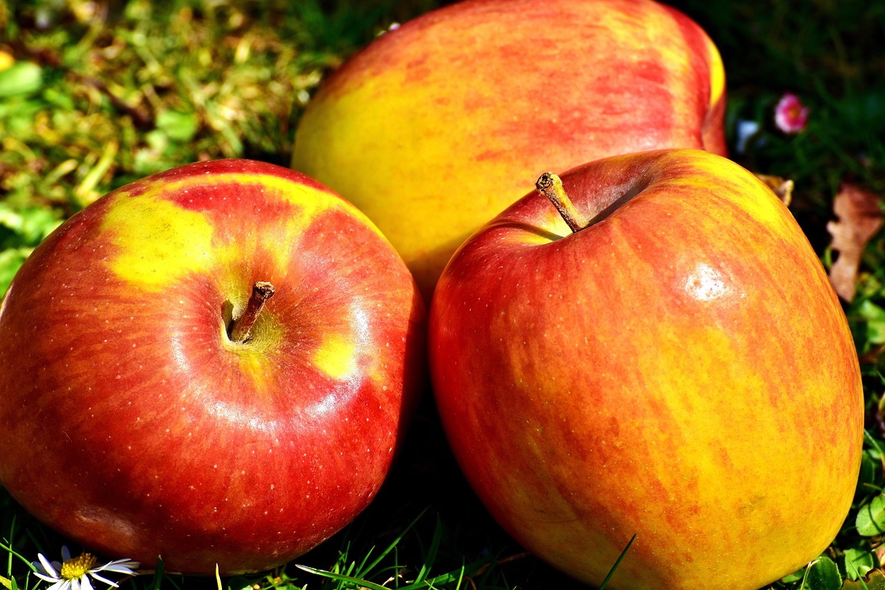 Apples - free online jigsaw puzzle photo