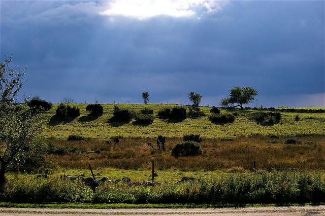 Free Nature Sky photo and picture