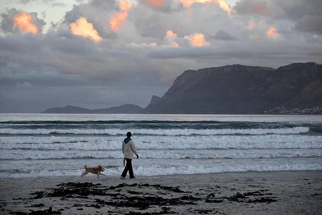 Free Muizenberg Cape Town photo and picture