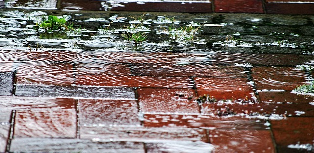 Free Rain Water photo and picture