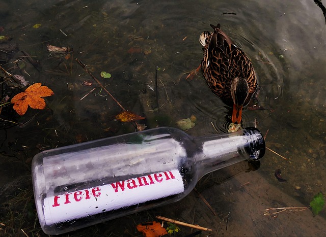 Free Message In A Bottle News photo and picture