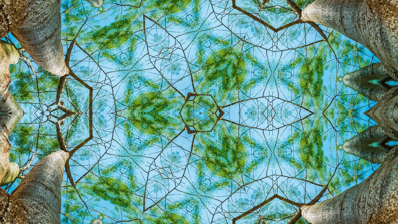 Forest - free online jigsaw puzzle photo