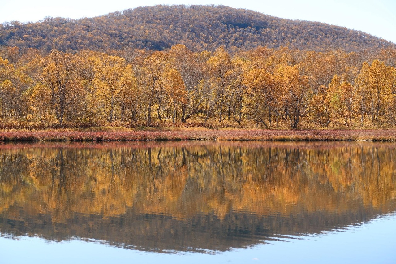 Autumn - free online jigsaw puzzle photo